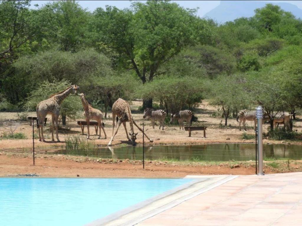 הודספרויט Thandolwami Bushlodge & Spa מראה חיצוני תמונה