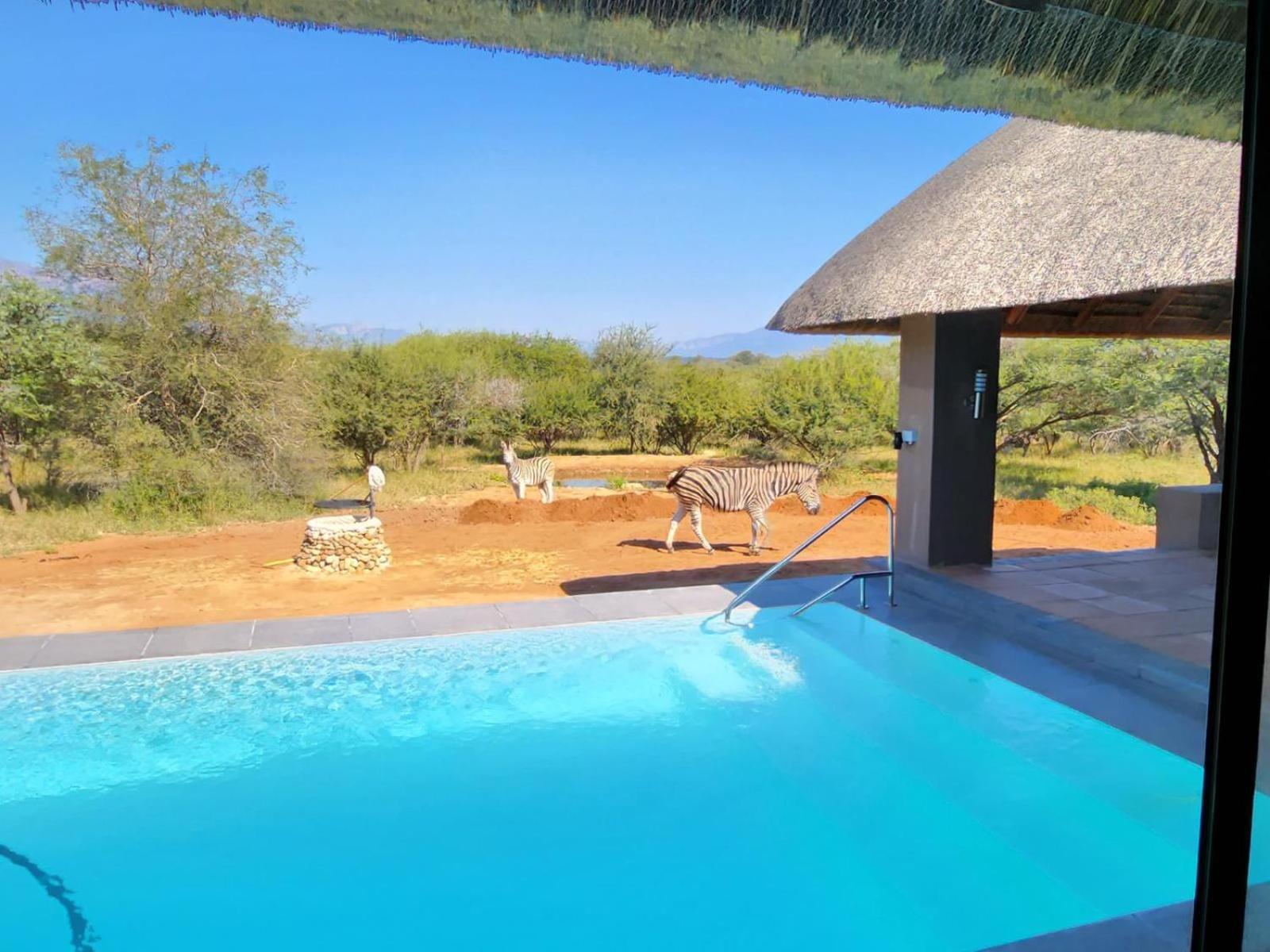 הודספרויט Thandolwami Bushlodge & Spa מראה חיצוני תמונה